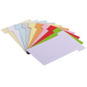 BOITE DE 100 FICHES CARTON indice  2