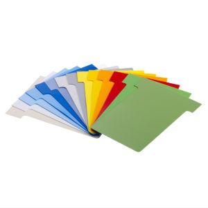 BOITE DE 250 FICHES PVC indice  2